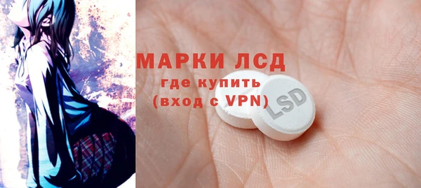 спиды Горняк