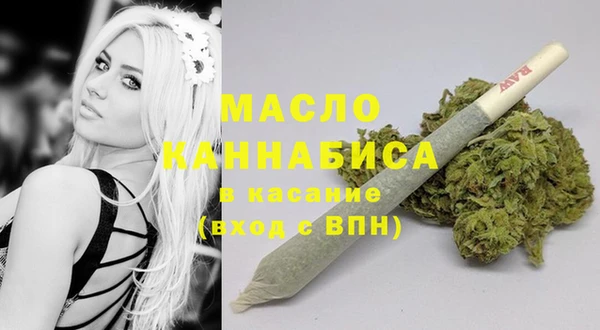 спиды Горняк