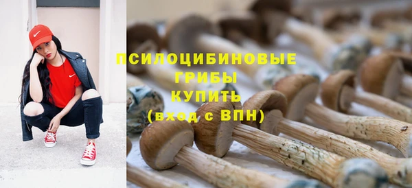 спиды Горняк