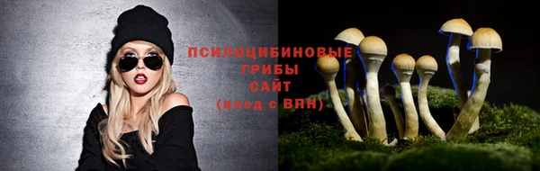мескалин Горнозаводск