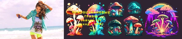 спиды Горняк