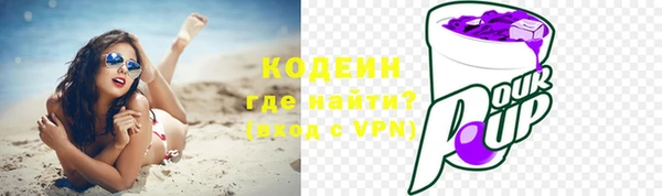 спиды Горняк