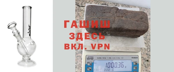 спиды Горняк