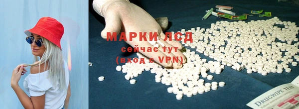 спиды Горняк