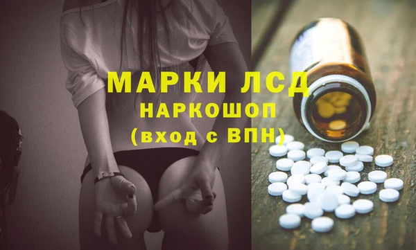 спиды Горняк
