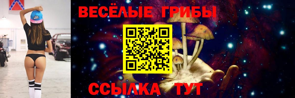 Псилоцибиновые грибы Magic Shrooms  Псилоцибиновые грибы ЛСД  Вход с VPN  Мценск 